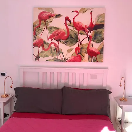 Hibiscus Guest house