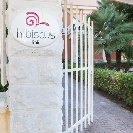 Hibiscus Taranto