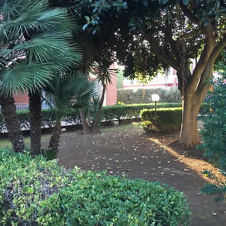 Hibiscus Guest house 3*