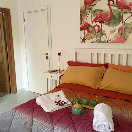 Hibiscus Guest house