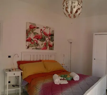 Hibiscus 3*